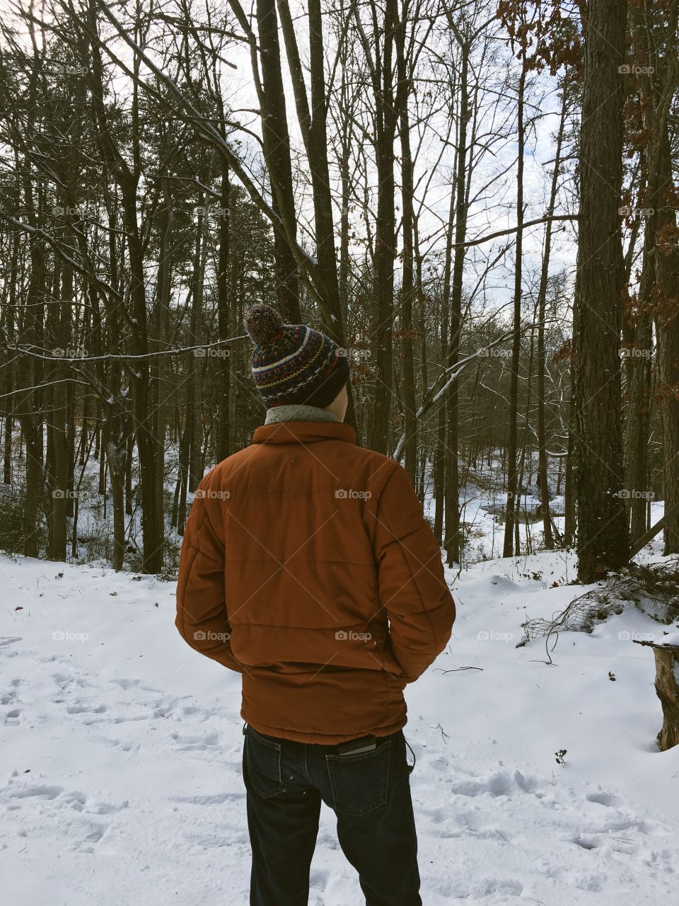 A rear view of person standing in snow