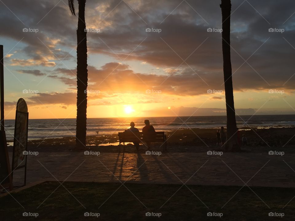 Sunset couple and palm trees silhouette 