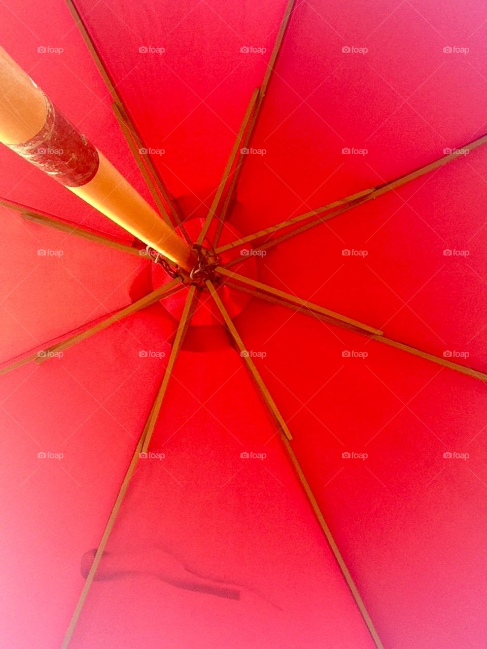 Umbrella