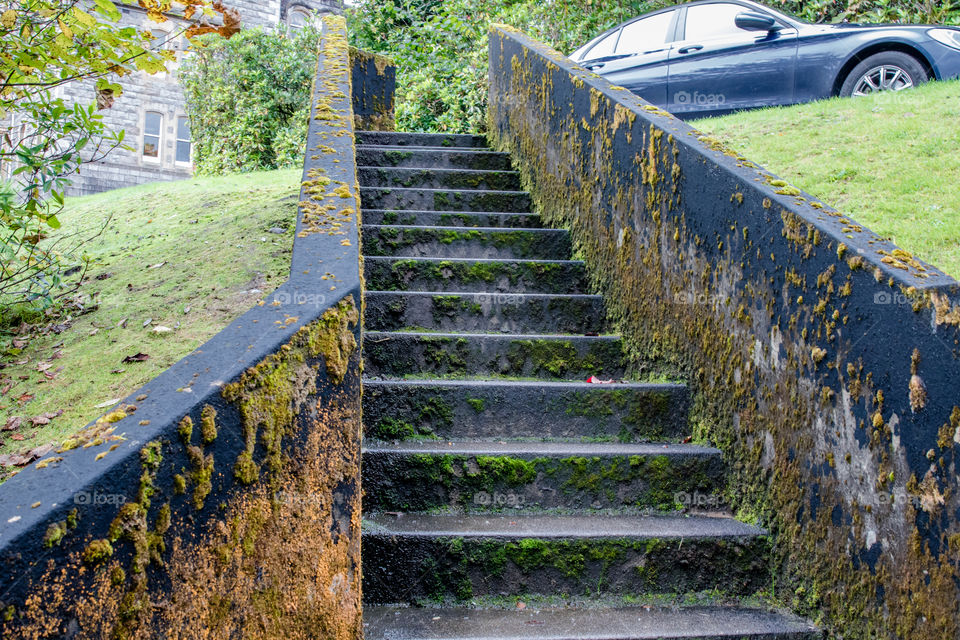 Moss Staircase