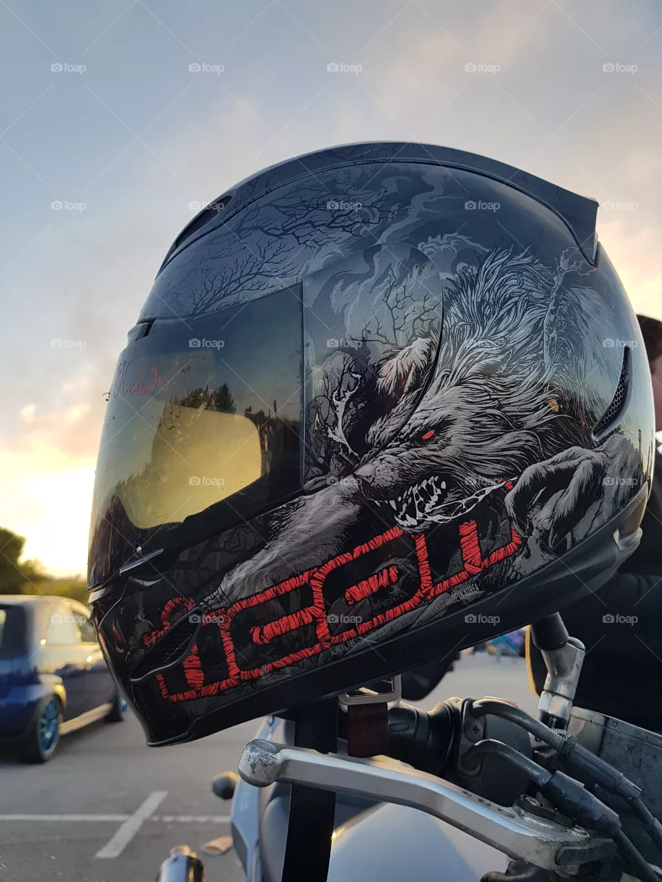 wolf