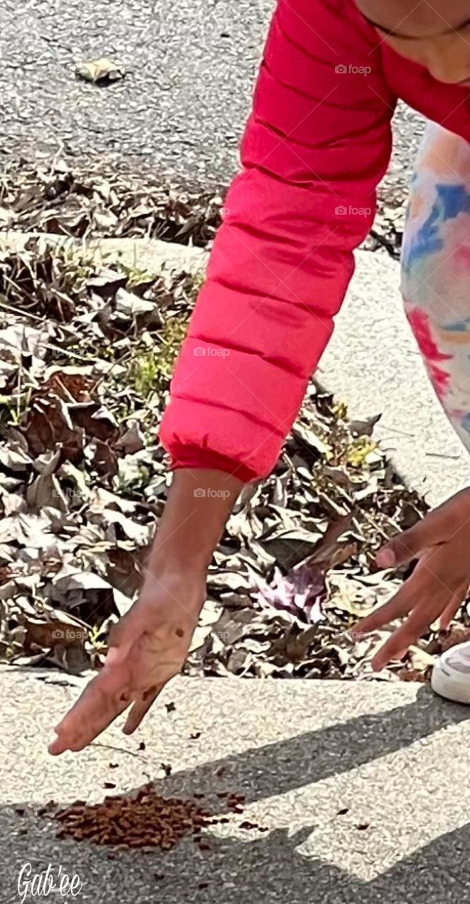 Feeding a friend 🐾