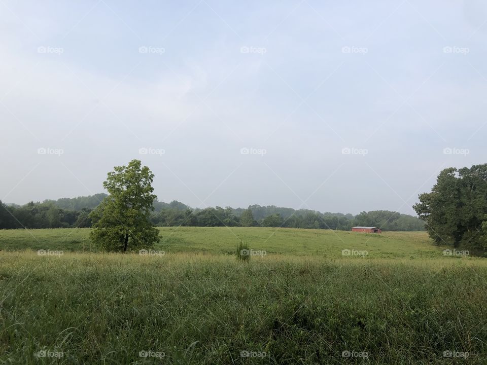 Rural landscape with hilly pasture trees and red barn