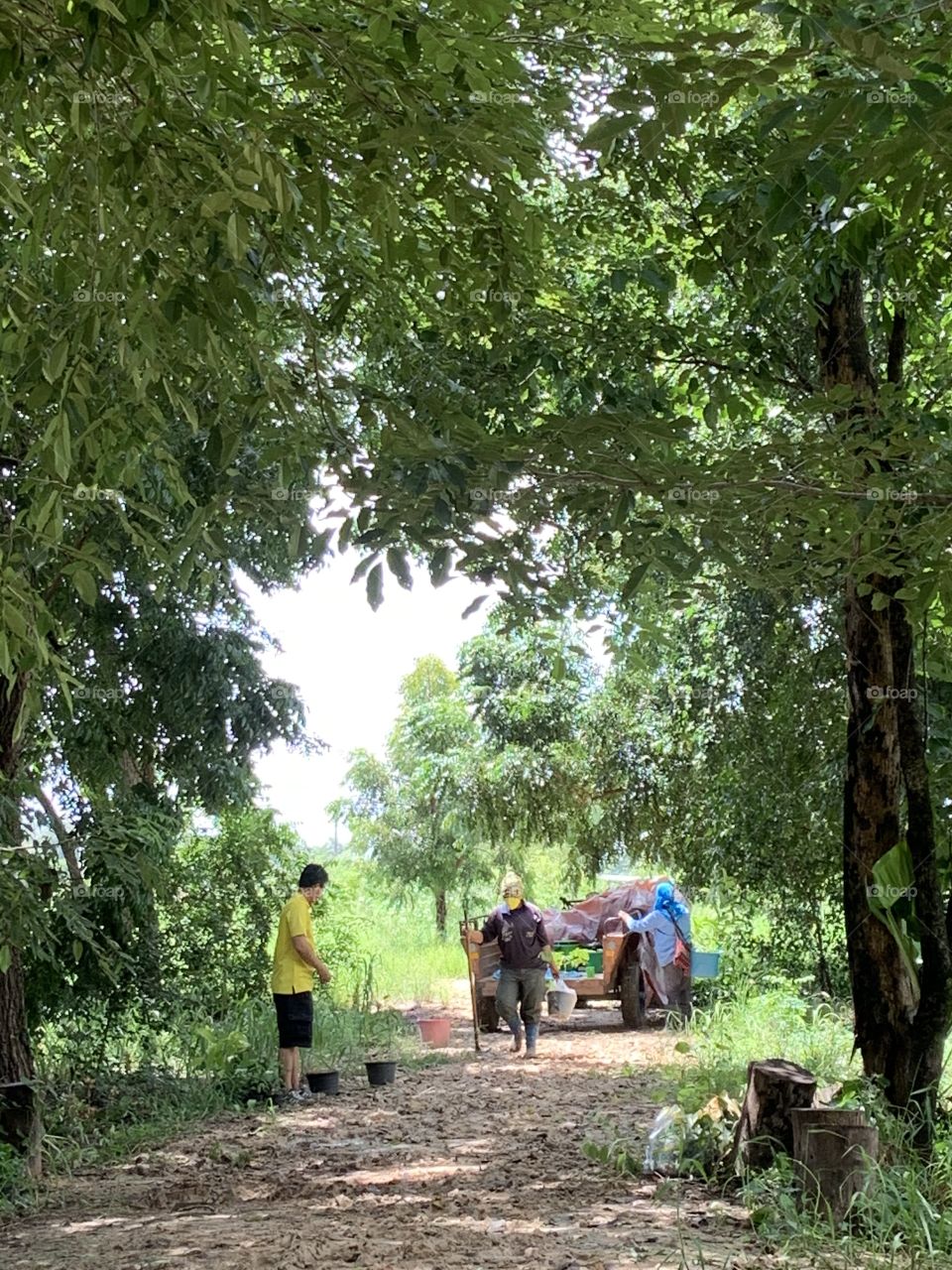 This is why I love my job, Countryside (Thailand)