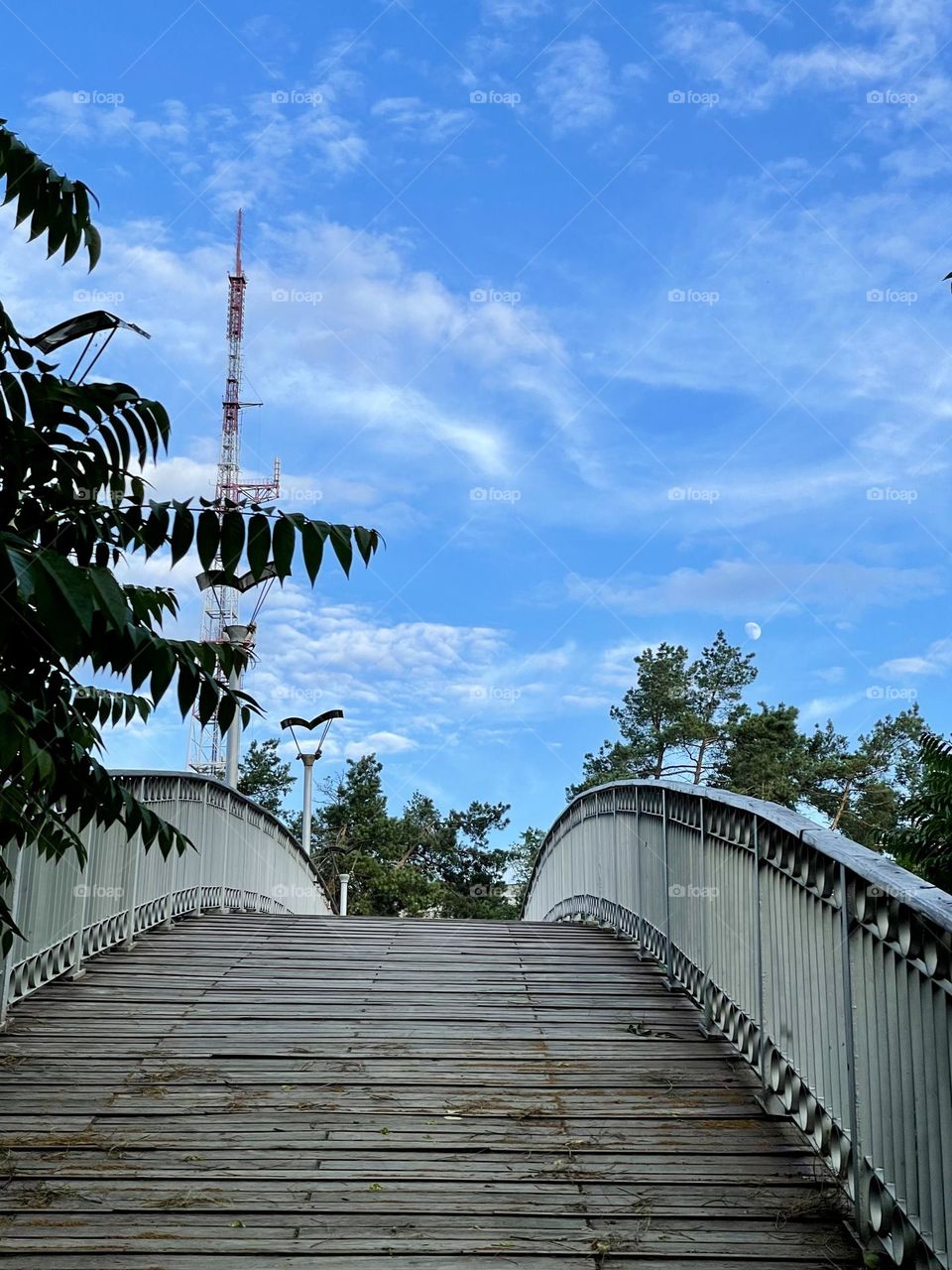 Bridge of love