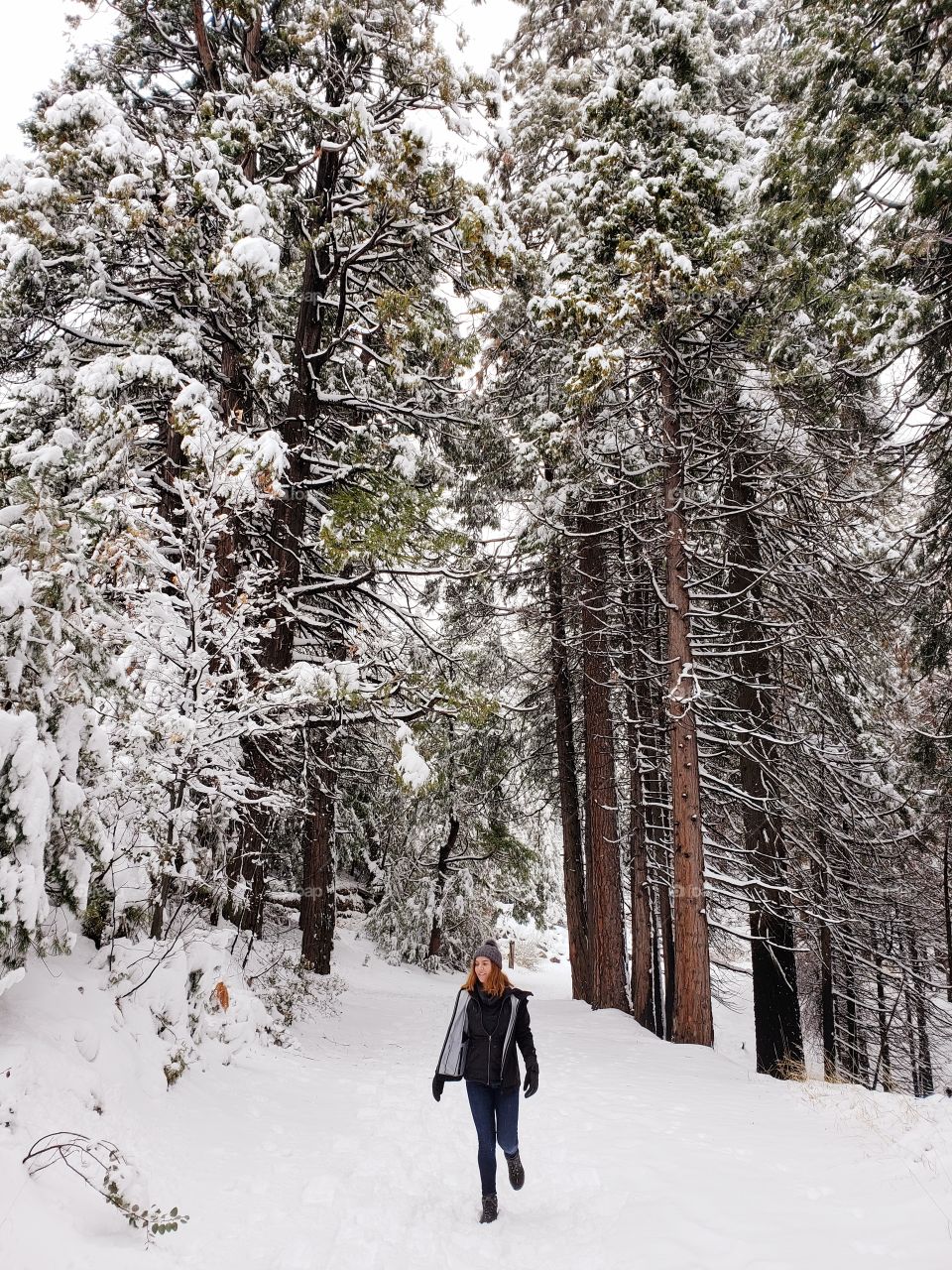 Yosemite Hiker