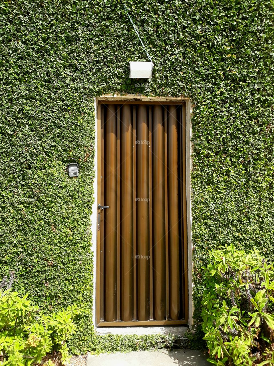 Gate of a large living wall in a seaside condo. Beautiful contrast between the hot and the alive green and the cold metal.