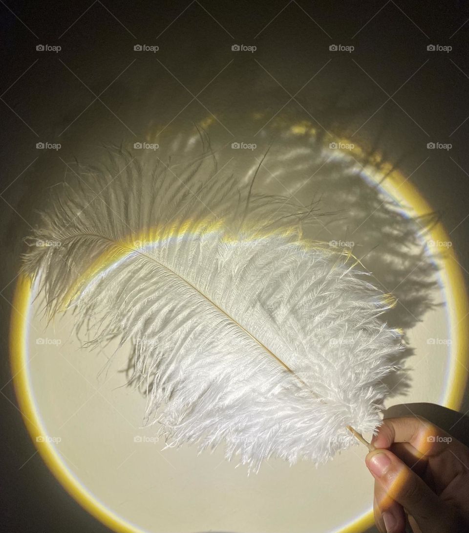Feather 