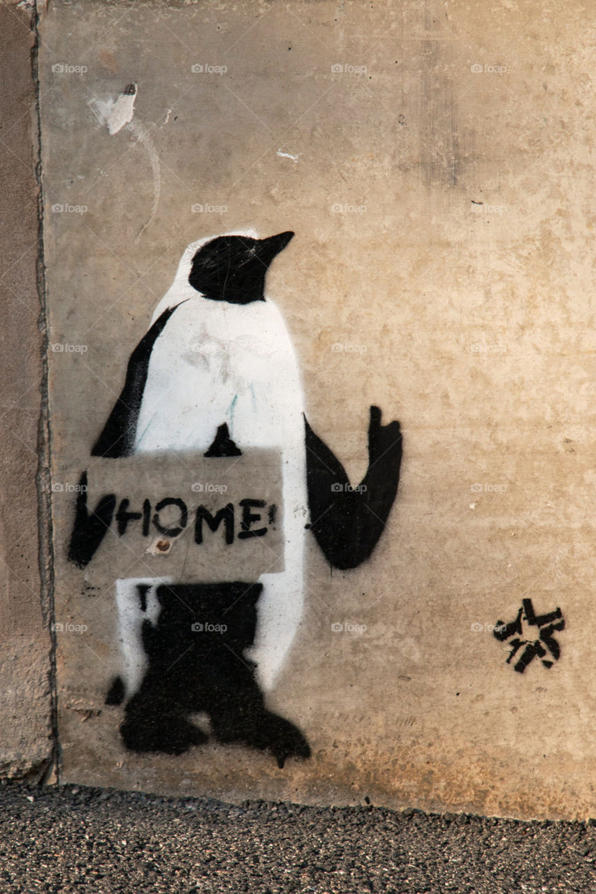 Argus penguin graffiti 