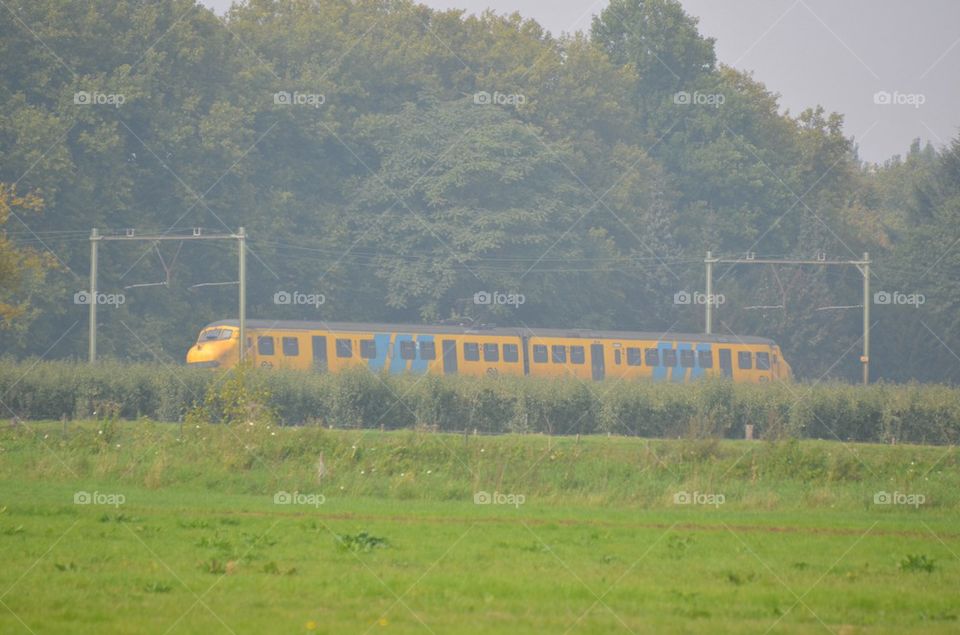 Dutch train.
