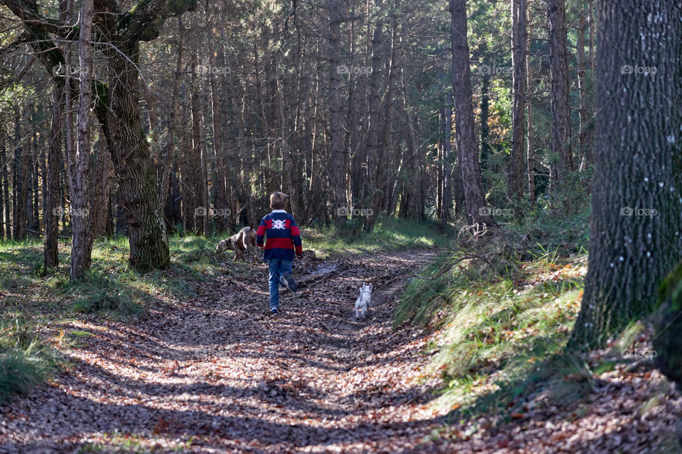 Running at the forest 