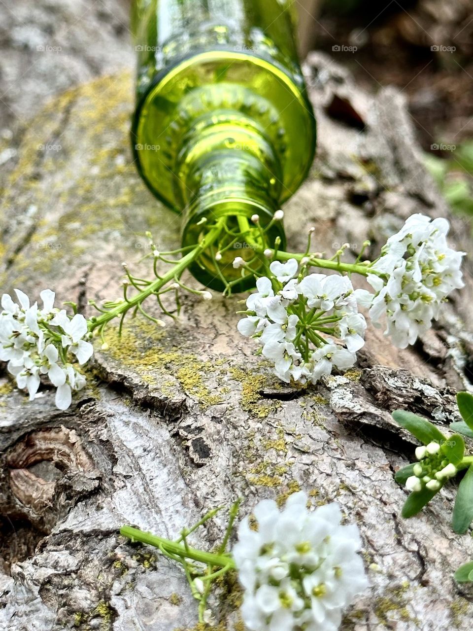 White flowers in a green vase!