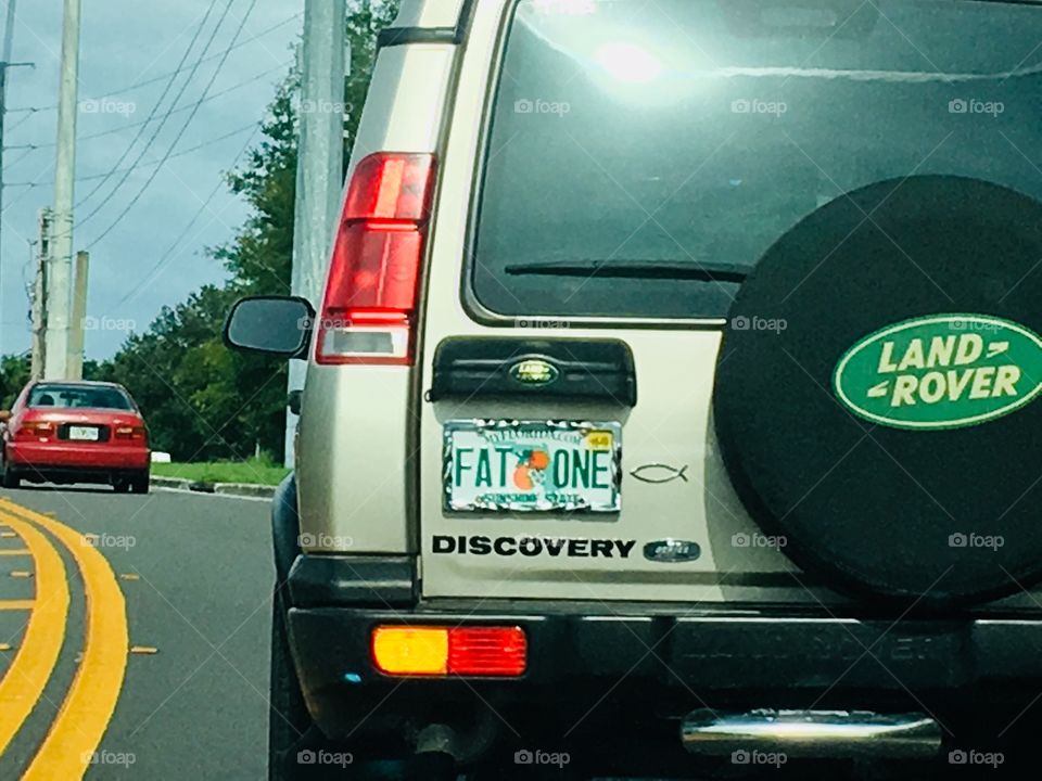 Unique Florida license plate collection FAT ONE