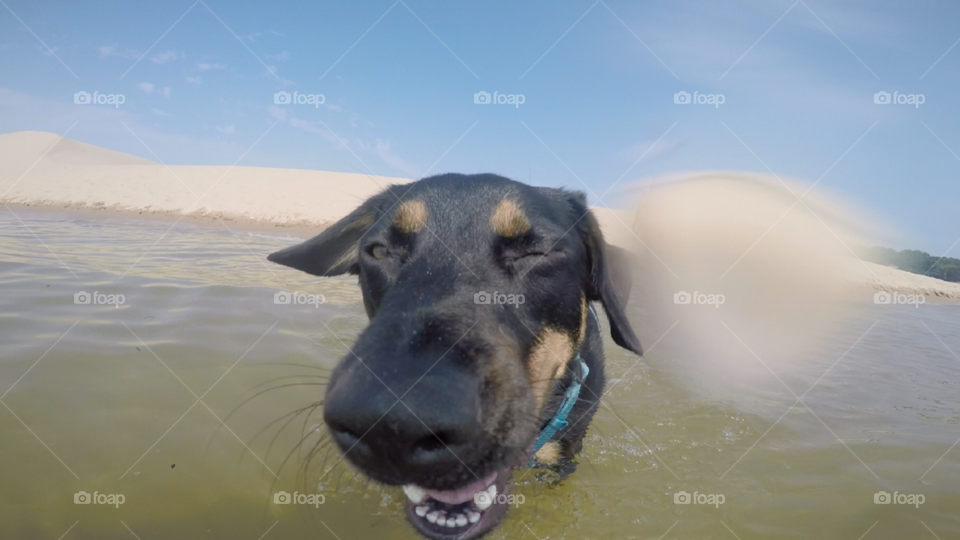 Jake loved playing in the water!!