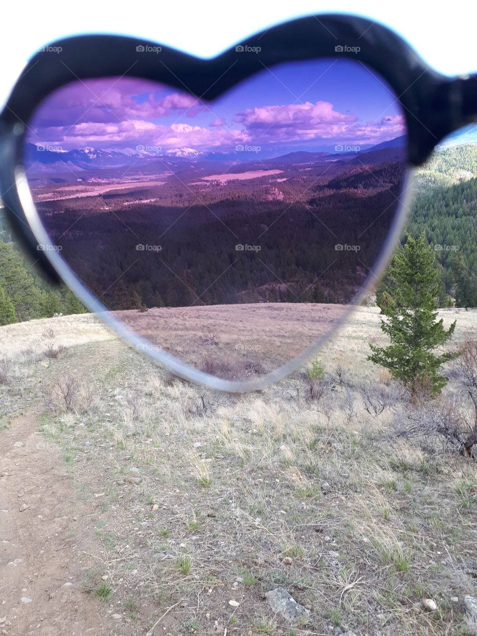 sometimes you just need to take a look through some rose tinted glasses and get a new perspective