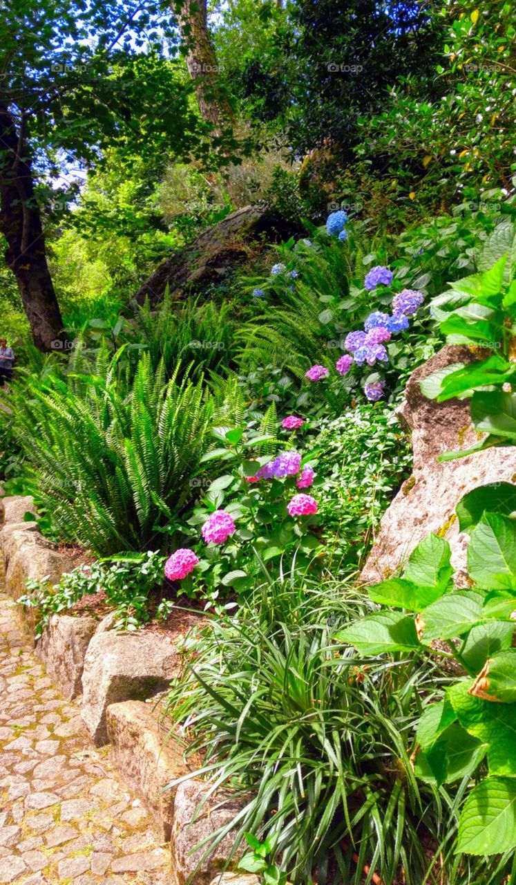 a path with beautiful colorful flowers