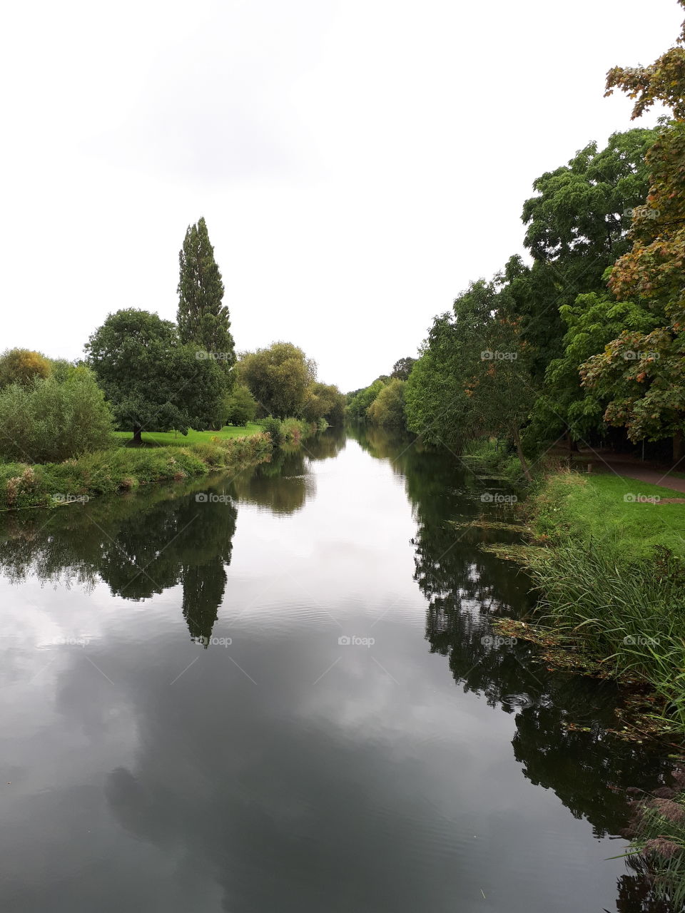 Reflective River