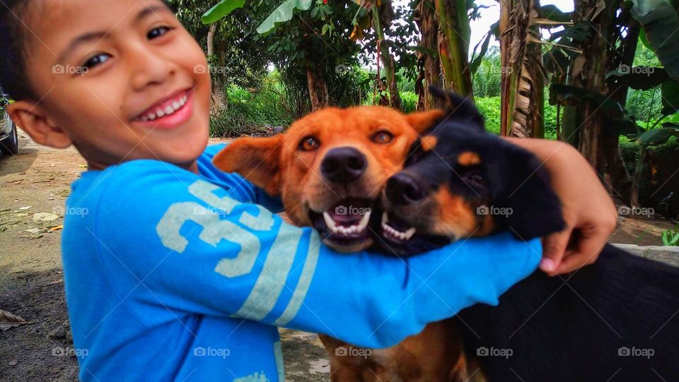 My boy and our dogs are having fun.