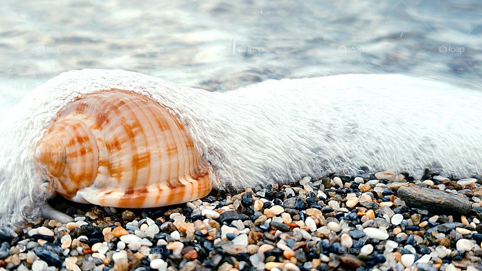 "Embrace of the Ocean"