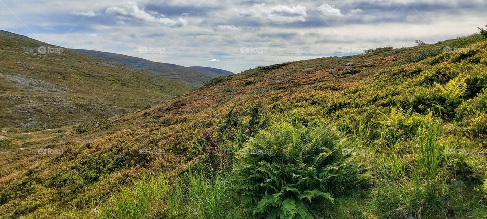 Pallas-Yllästunturi nationalpark, Lapland, Finland