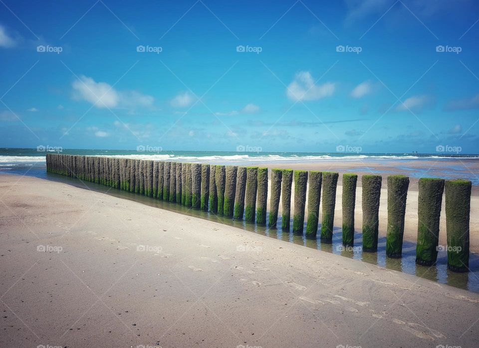 Some of the many posts to protect the dunes on Burgh Haamstede beach in the Netherlands