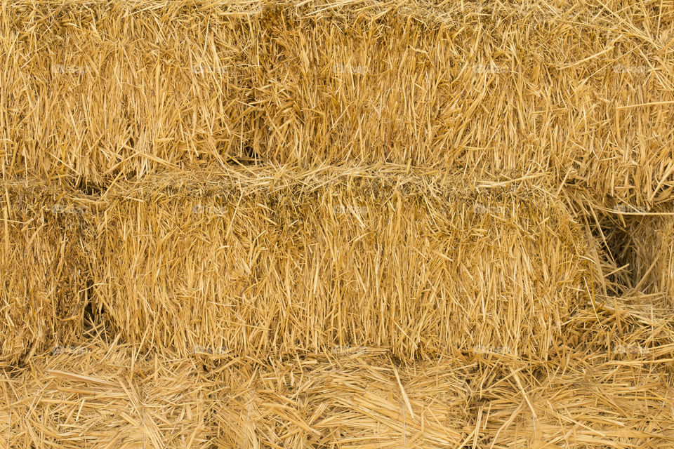 close up straw texture. autumn background