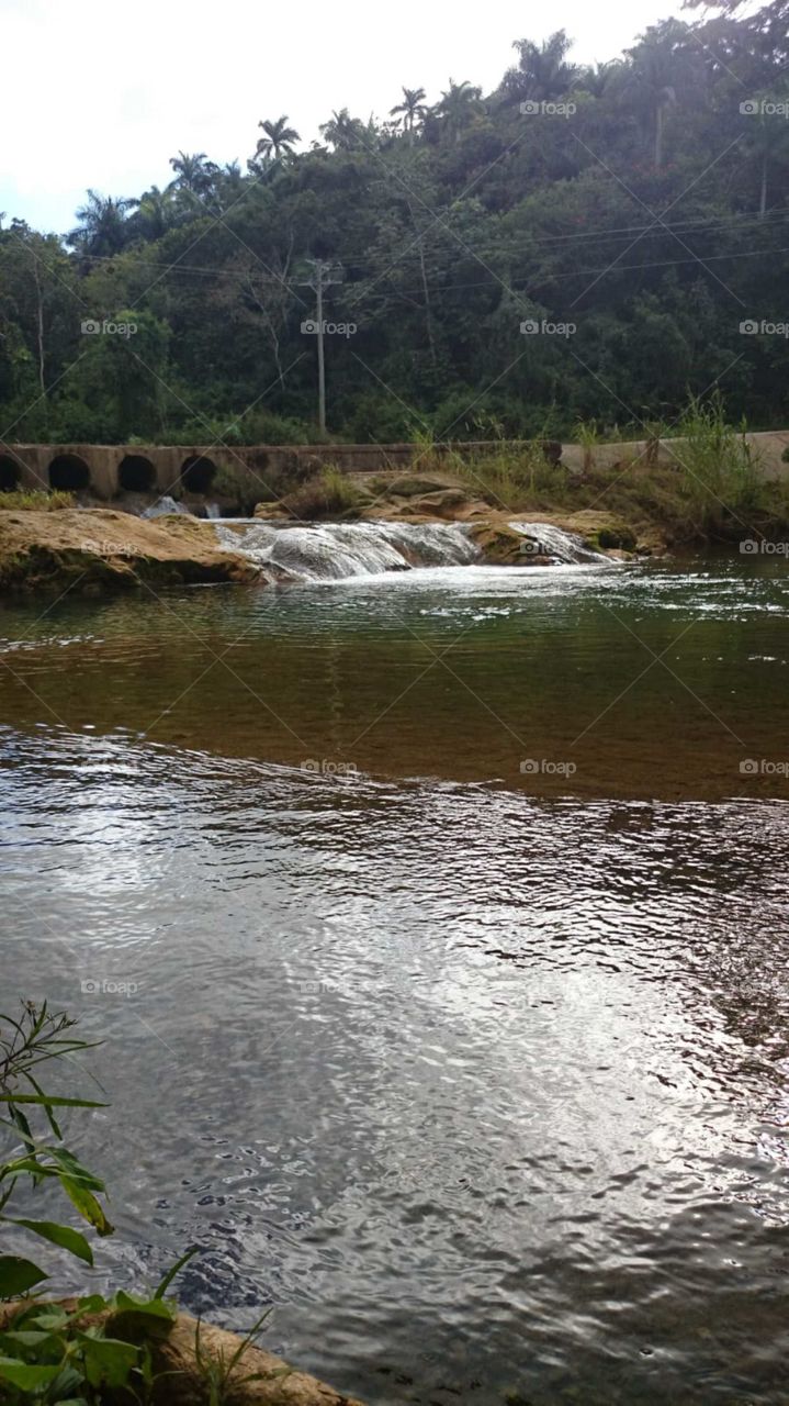 Falls#nature#greengrass#trees