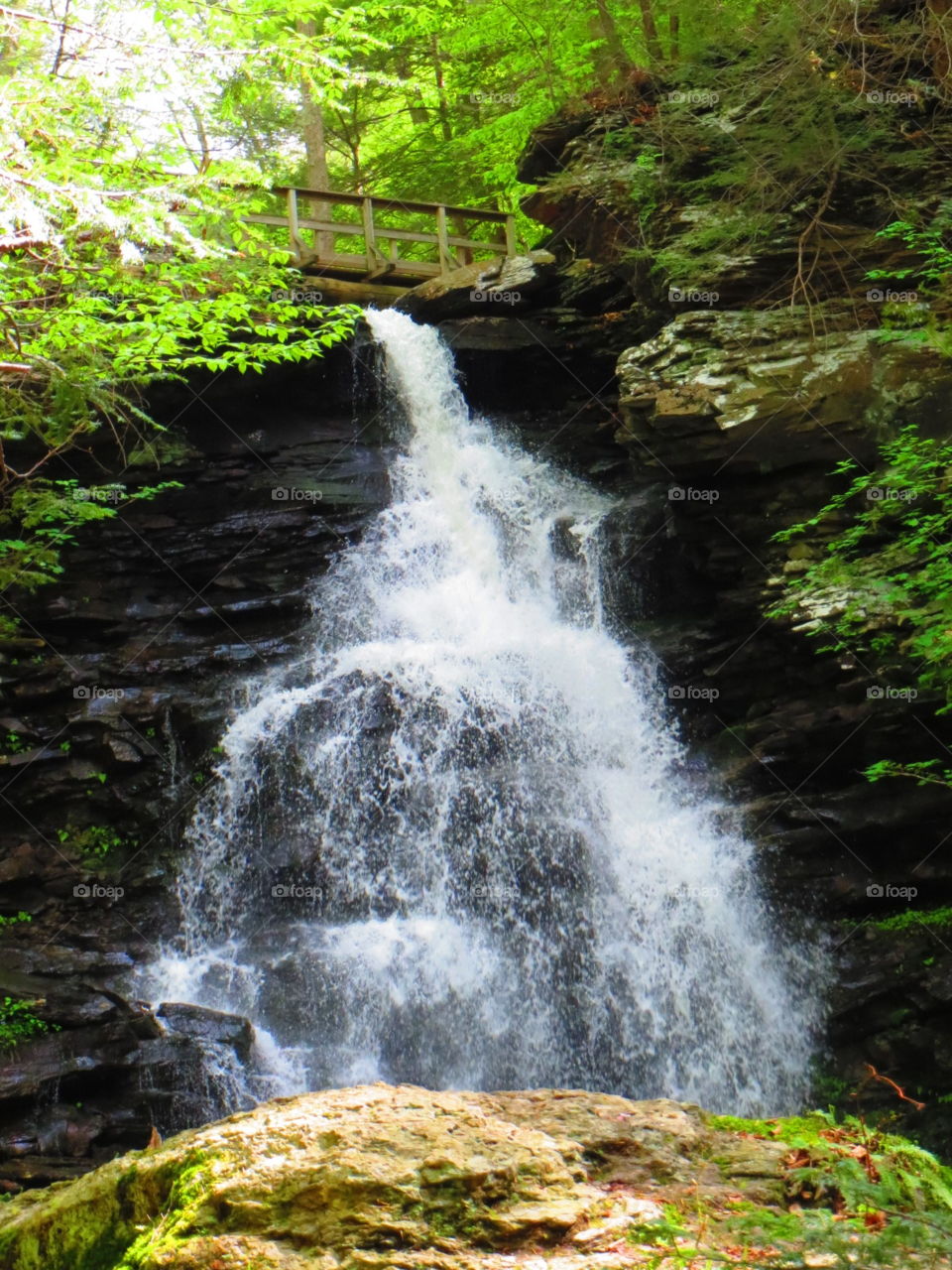 Pennsylvania Waterfall. Bridge to Bottom