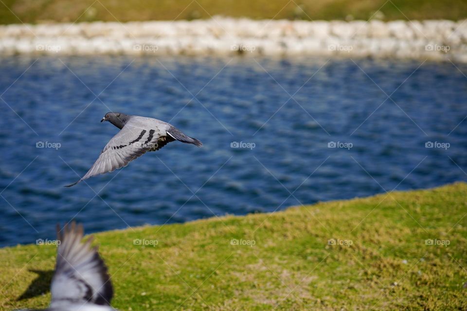 Editor’s choice. Photo of the week 