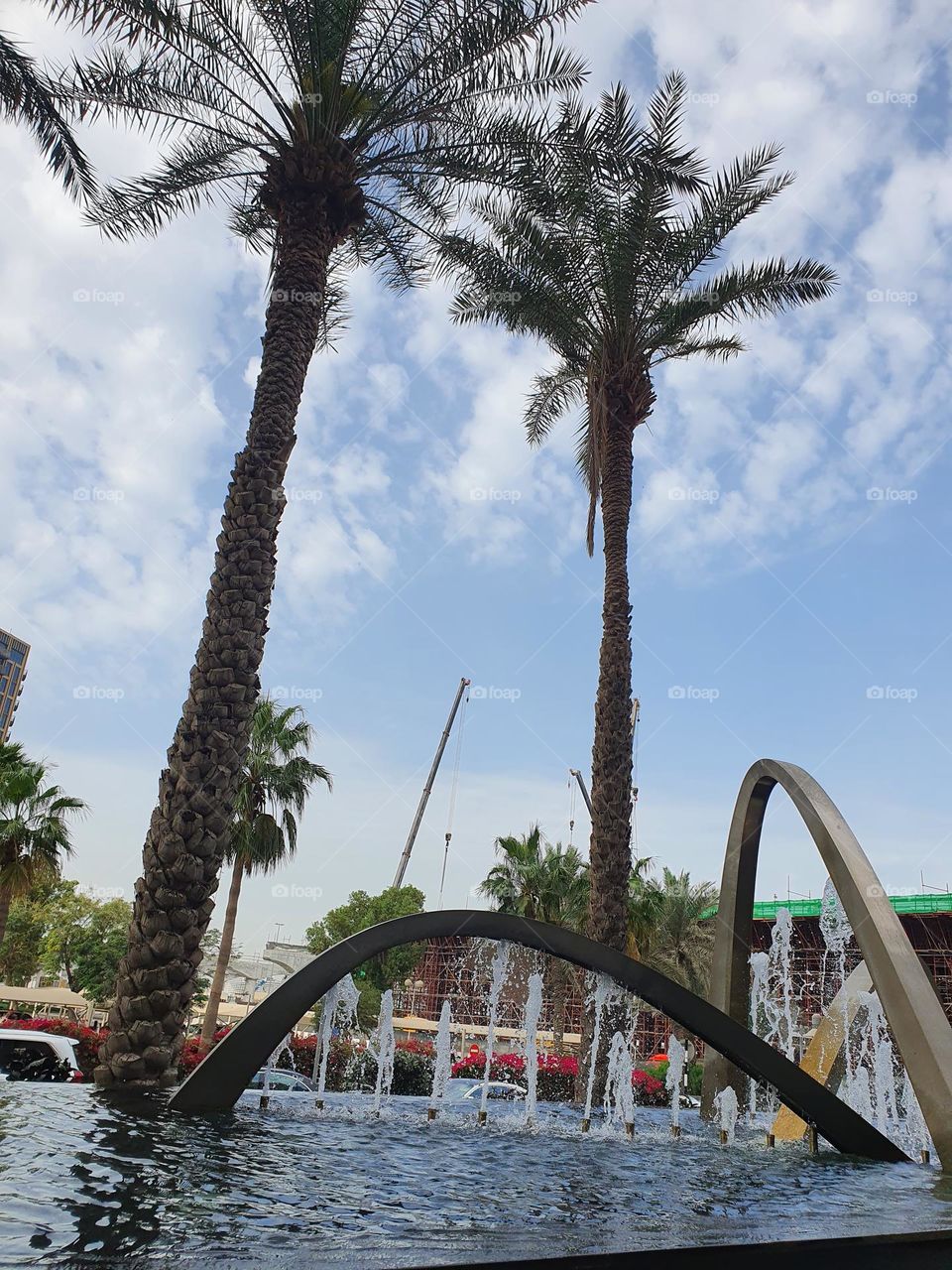palms and fountain