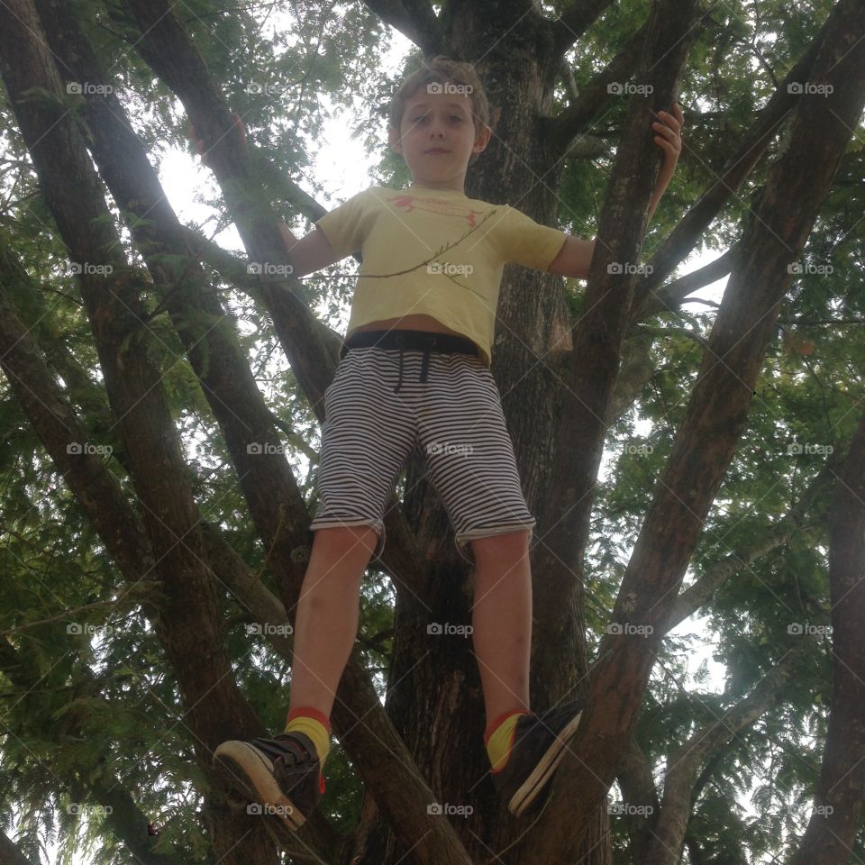 Wood, Tree, Nature, Outdoors, Recreation