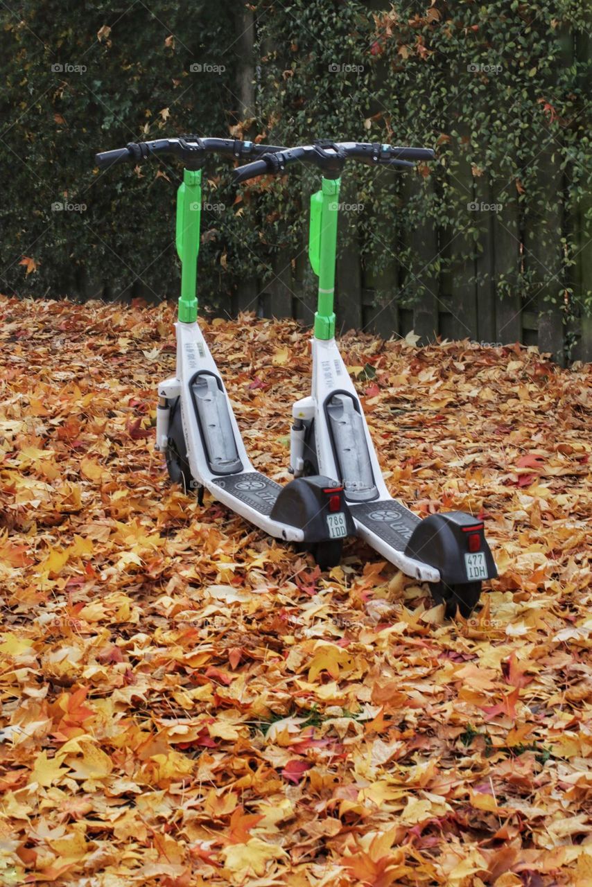 Couple of the autumn scooters