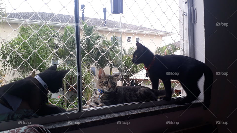 Lilith, Mark e Banguela