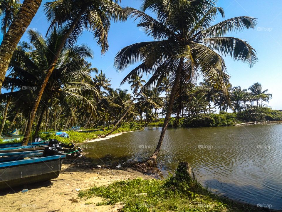 Beautiful nature view