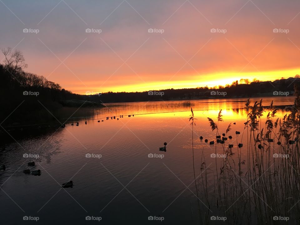 Sunset, Water, Dawn, Reflection, No Person