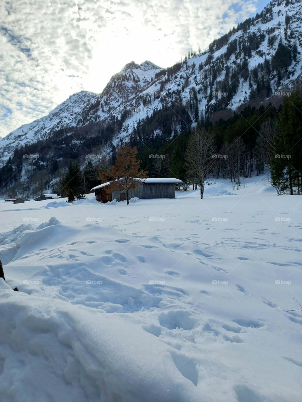 Mountain Cabin in the Snow