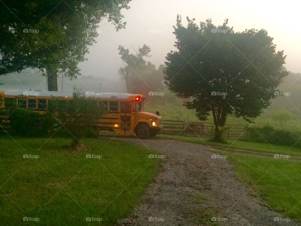 School Bus Backs Out