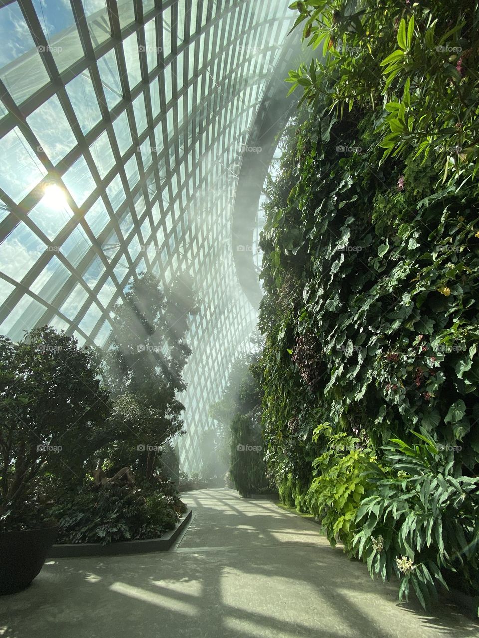 The Best Photo in Singapore.

Afternoon mist at gardens by the bay