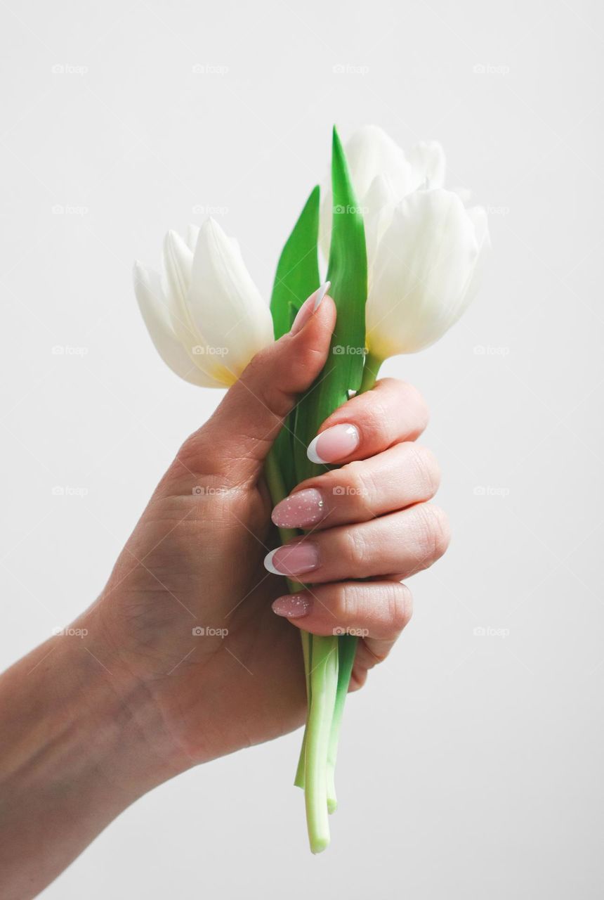 Beautiful hand of a caucasian young woman with a delicate manicure holds aesthetically three white tulips against a white wall, close-up side view.