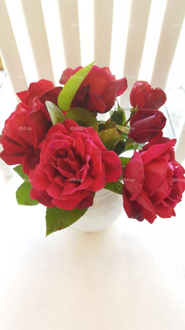 Cheery Red Farmhouse Roses