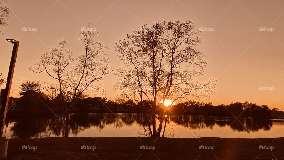 This stunning tree nestled on the North Shore of Willow Lake. Taking in the gorgeous Sunseted Evening. 