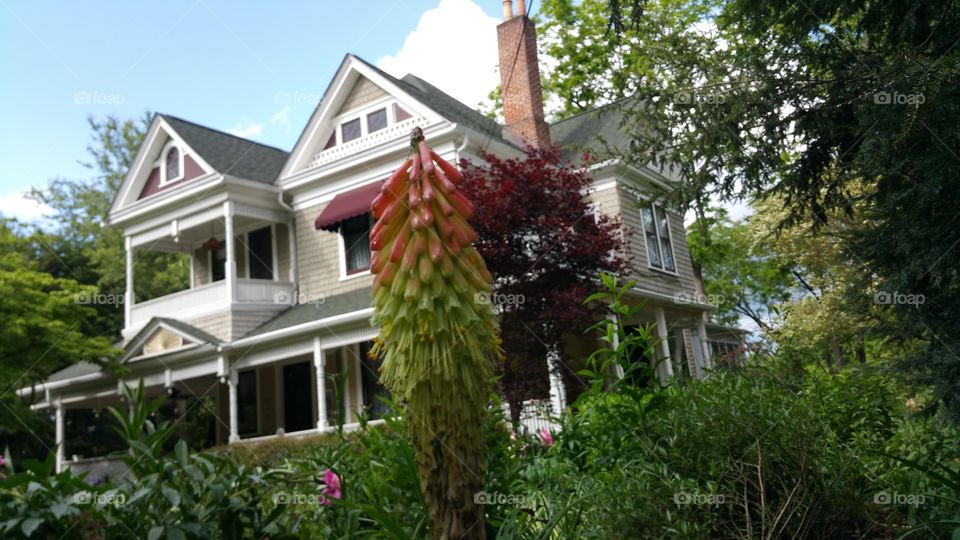 The Flower of Montford Gardens, Asheville, North Carolina