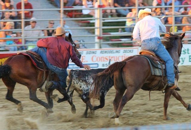 Rodeo Cowboy