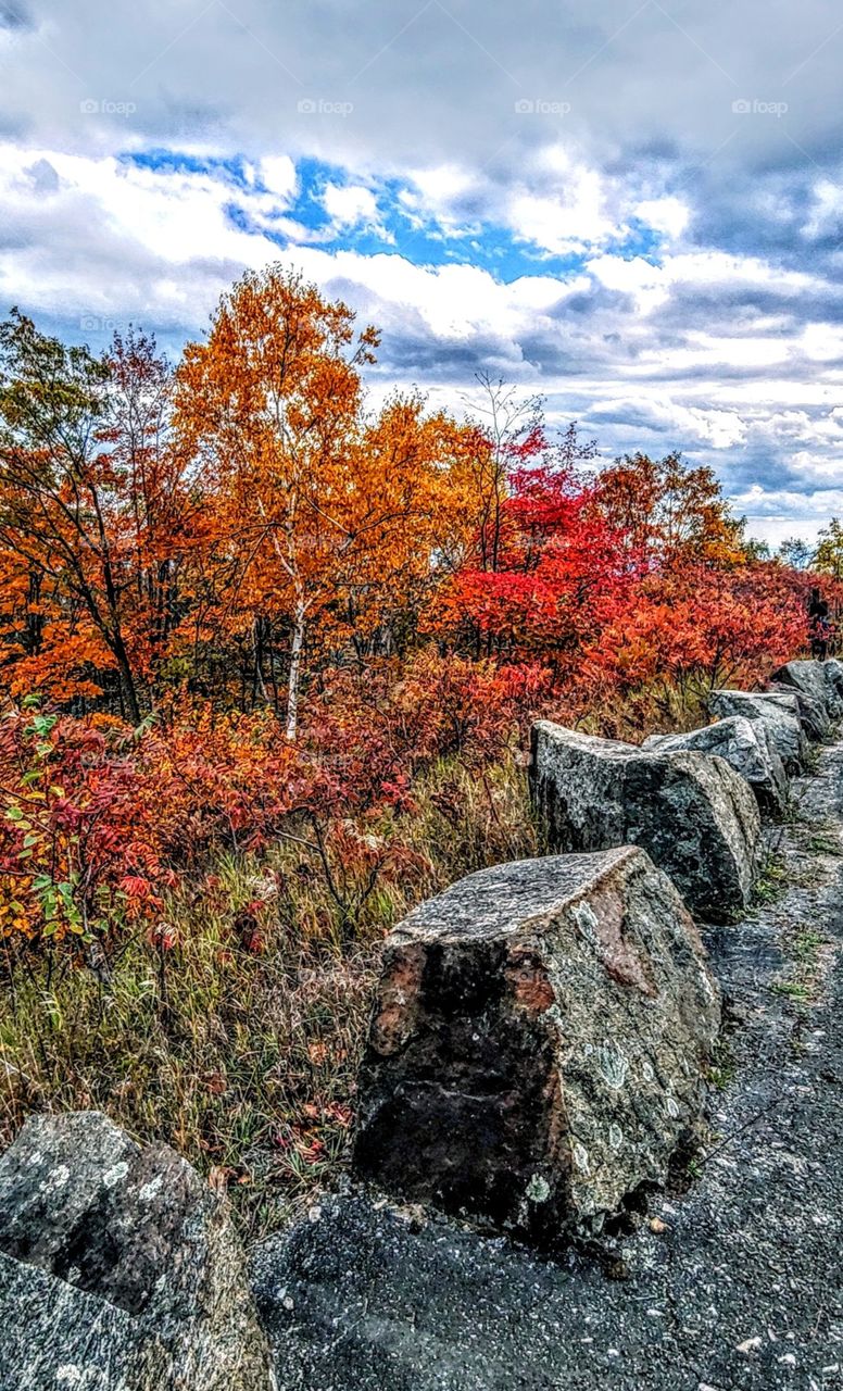 Hiking trail in Autumn!