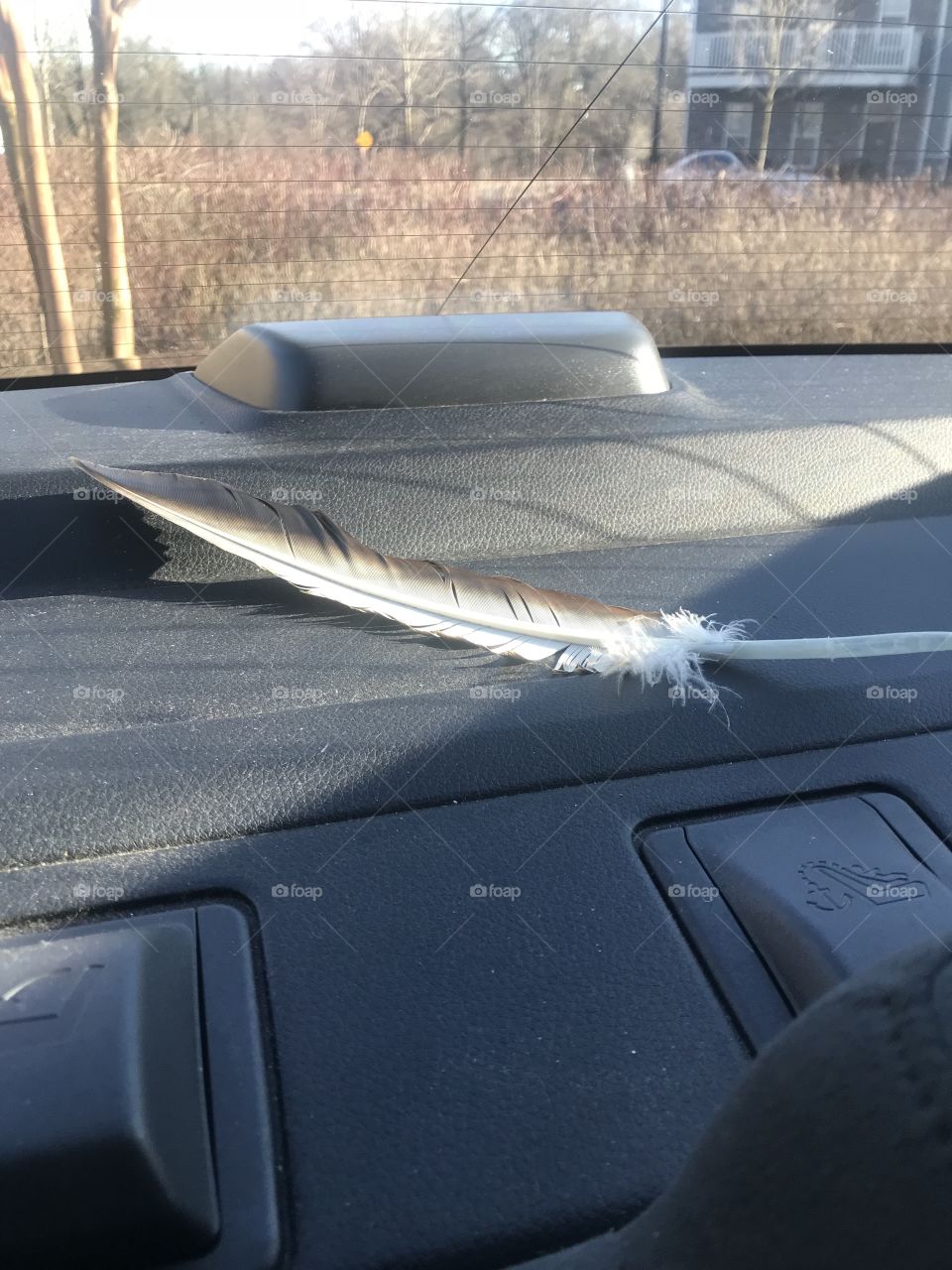 Feather in a car car car🤥