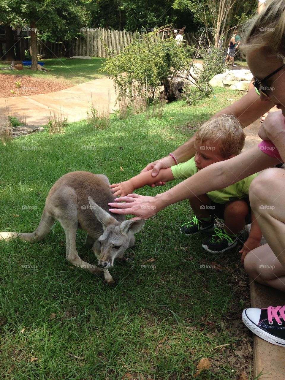 Mother and child petting a kangaroo in the zoo
