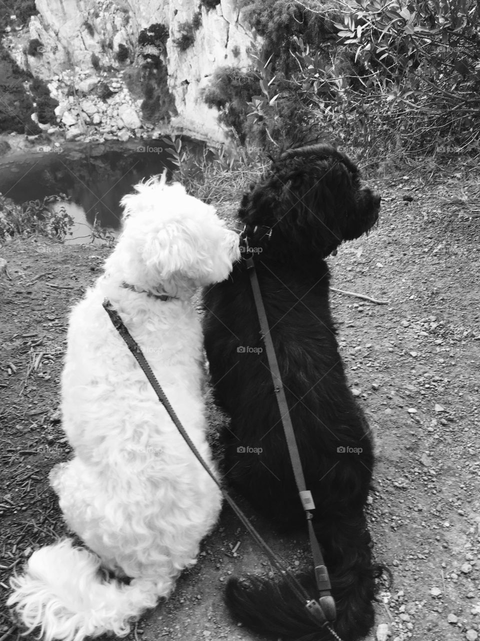 Black and white distancing