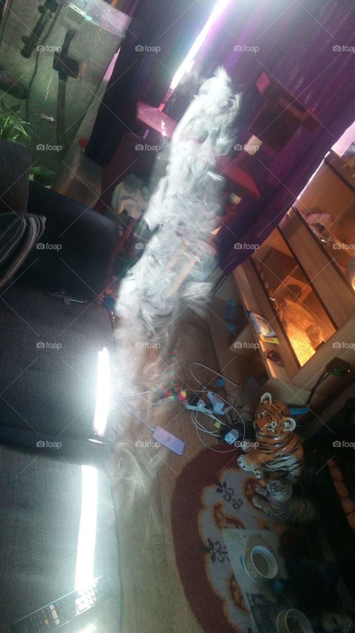 smoke in a beam of light