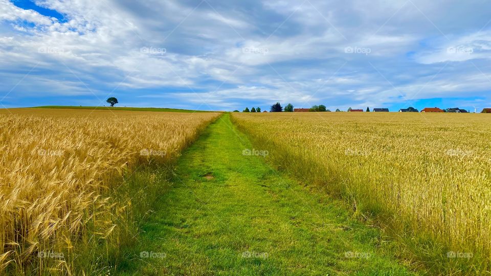 Weg der Sehnsucht