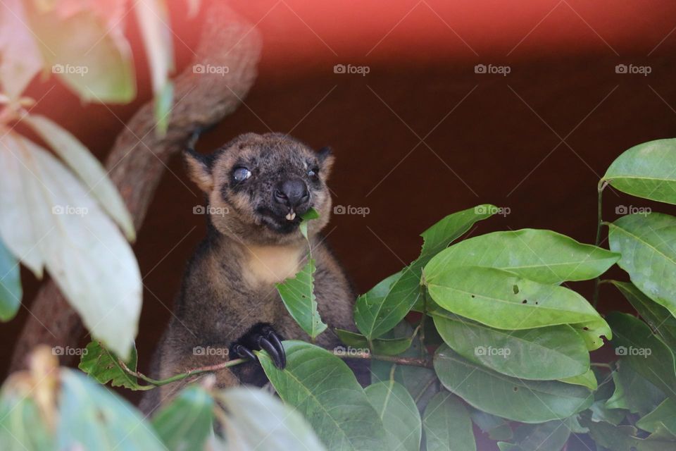 Capturer l’instant 